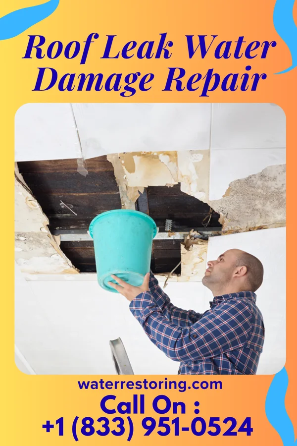 Roof Leak Water Damage Repair in Harbor, OR